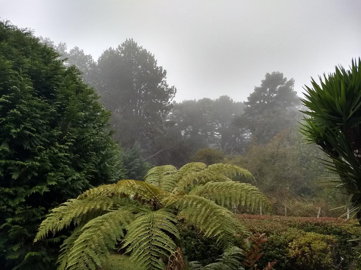 Recantto Do Divino B&B Campos do Jordão المظهر الخارجي الصورة