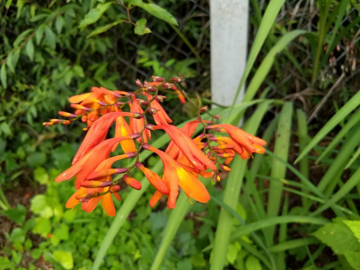 Recantto Do Divino B&B Campos do Jordão المظهر الخارجي الصورة