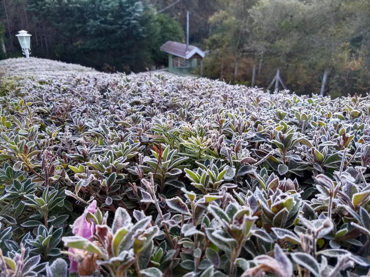Recantto Do Divino B&B Campos do Jordão المظهر الخارجي الصورة
